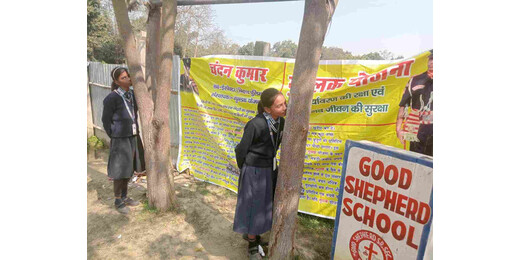 वैलेंटाइन वीक में अनोखी पहल : गाय और पेड़ों को गले लगाकर मनाया गया चुंबन दिवस